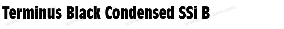 Terminus Black Condensed SSi Bold Condensed字体转换